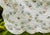 American 1940s Vintage All-Cotton Hand-Stitched Double Wedding Ring Scalloped Quilt For Sale - Image 3 of 18