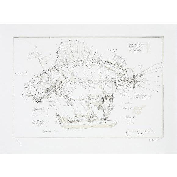François Delaroziere, The Pirate Fish, Original Lithograph For Sale