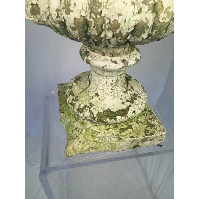 Fabulous!!! This planter ( urn) has the best patina ever!!! It comes in 3 pieces. I have shown it as only a base and then...