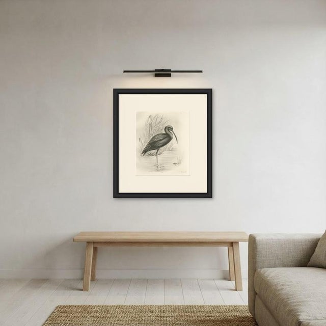 Beige After Lilian Medland, Glossy Ibis, 1909, Print For Sale - Image 8 of 9