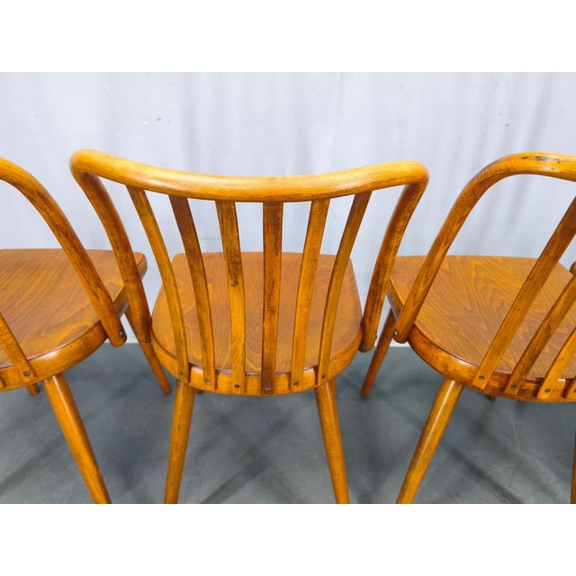 Dining Chairs by Antonin Suman for Ton, 1960s, Set of 4 For Sale - Image 10 of 18