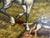 English Large Vintage Oil Painting English Fox Hunt Horses Hounds Hunting Scene Art For Sale - Image 3 of 15