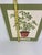 Vintage 1960s / 1970s Australian Umbrella Tree Schefflera Matted Litho Sandra Plant Art Print 18" Artwork needs to be...