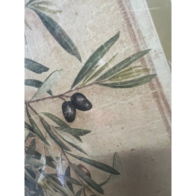 Vintage Framed Olive Branch Watercolor by French Artist Vincent Jeannerot For Sale - Image 4 of 5