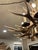 Bone Vintage Antler Chandelier For Sale - Image 7 of 9