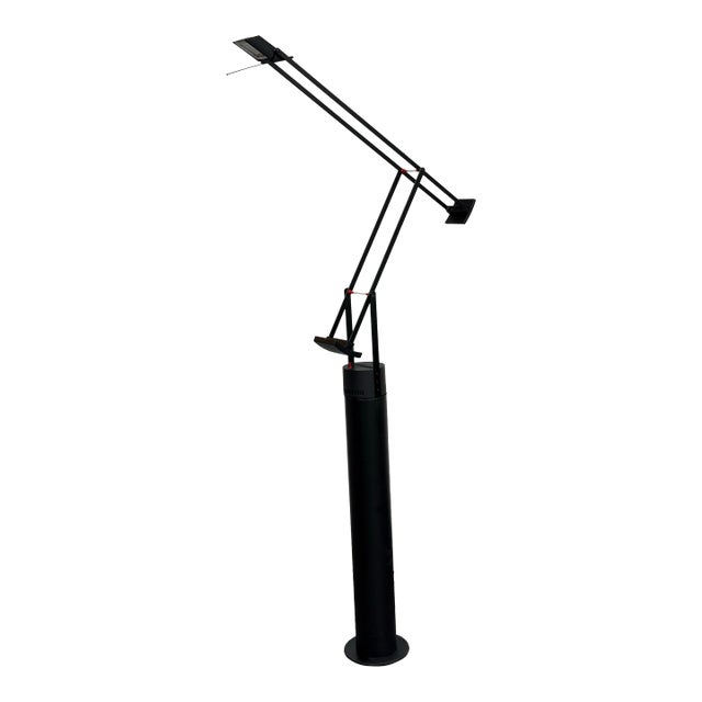 Richard Sapper for Artemide Tizio Terra Floor Lamp For Sale