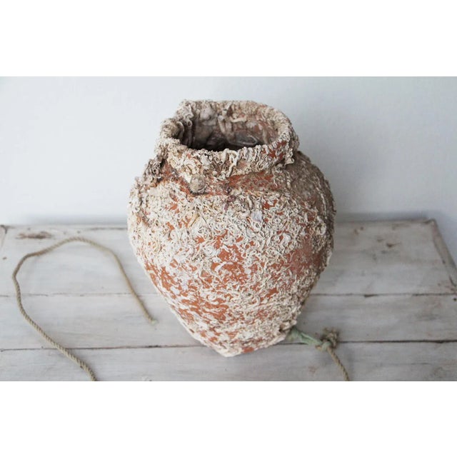An hand made terracotta pot originally submerged under sea and used as a trap for an individual octopus. This pot has a...