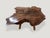 Andrianna Shamaris Amorphous Rosewood Coffee Table For Sale - Image 12 of 18
