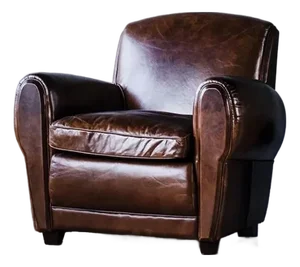 Matthew Izzo Home Leather Gustav Library Club Chair