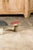 Mid 20th Century Set of Three American Midcentury Painted Concrete Mushroom Garden Ornaments For Sale - Image 12 of 12
