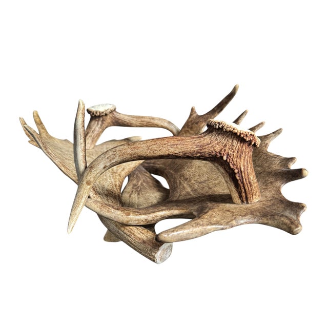 Tan Swiss Black Forest Fallow Deer and Stag Antler Bowl For Sale - Image 8 of 12
