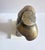 Gold Peter Kern, Modern Nude Male Torso in Bronze, Limited Edition, 1980s, Bronze For Sale - Image 8 of 9