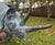 Huge 90” Highly Detailed Vintage Life Size Verdigris Bronze Rhinoceros Sculpture Statue Indoor Outdoor For Sale - Image 4 of 12