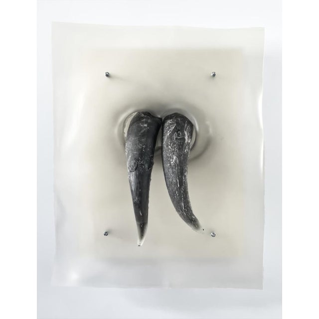 Surface Disturbances The Coronation II by Joachim Ramin For Sale - Image 4 of 4