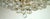 Brass and Rainbow Lead Crystal 8-Light Chandelier from Palwa, 1960s For Sale - Image 6 of 12