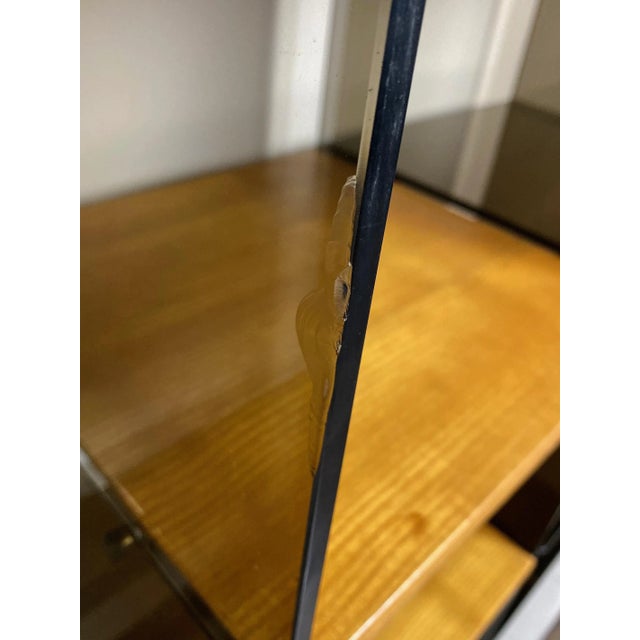 Chrome, Smoked Glass & Wood Bookshelf Étagère by Gallotti & Radice, Italy, 1970s For Sale - Image 13 of 15