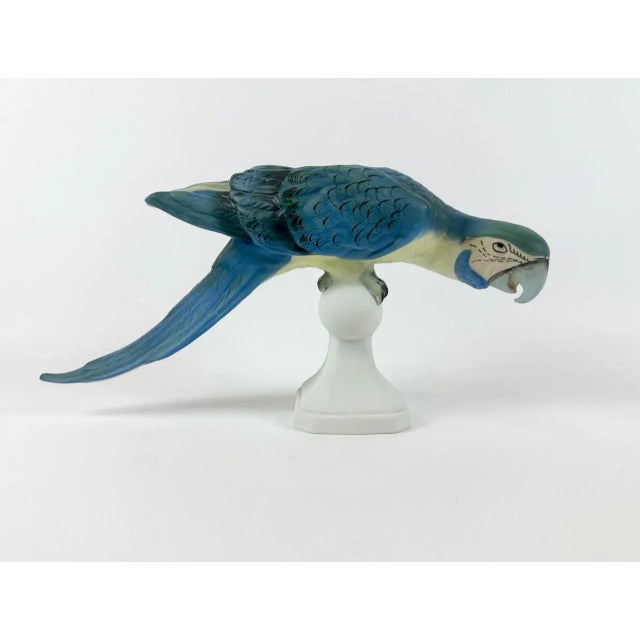 Hand Painted Parrot Figurine from Royal Dux, 1960s For Sale - Image 4 of 14