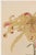 This graceful Golden Spider Chrysanthemum is reproduced from Keika Hyakugiku, Plate 11 (1893), the celebrated botanical...