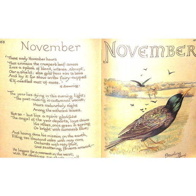 "The Country Diary of an Edwardian Lady" 1984 Holden, Edith For Sale - Image 11 of 12