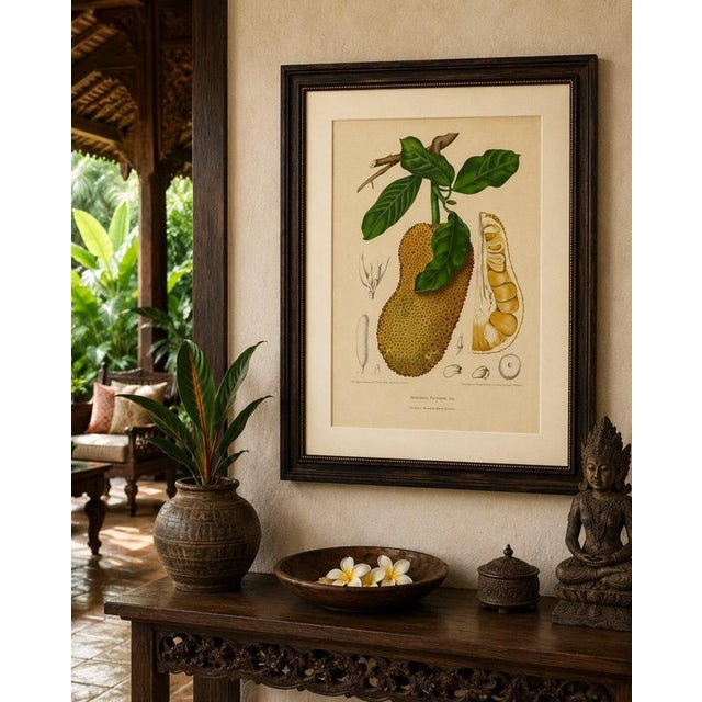 Hoola van Nooten, Jackfruit, 1880, Chromolithograph For Sale - Image 4 of 9