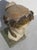Stone Hygieia Goddess of Good Health Alabaster Carving Circa 1890s For Sale - Image 7 of 12