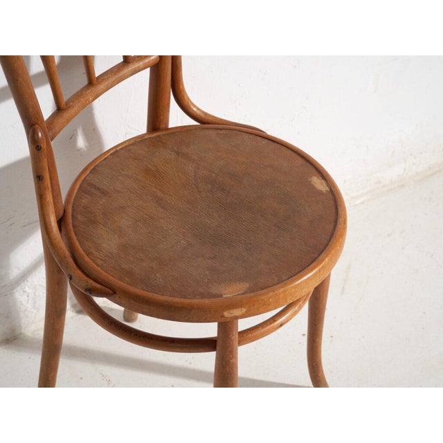 Wood Antique Bentwood Chairs, Central Europe, 1900s, Set of 4 For Sale - Image 7 of 13