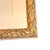 Mid 19th Century 19th Century Jane Louden Hand Colored Botanical Print in Gilt Frame For Sale - Image 5 of 8