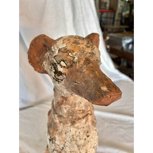 White Early 20th Century Terracotta Dog Garden Statue For Sale - Image 8 of 13