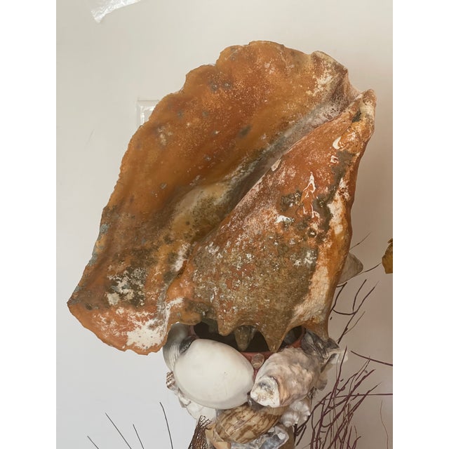 Coastal Antique Grotto Sea Shell Candlesticks With Antique Bahamas Conch Shells For Sale - Image 3 of 9