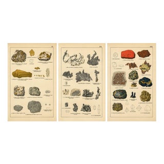 Antique Mineralogy Chromolithographs of Gold, Silver and Copper, 1888, Set of 3 For Sale
