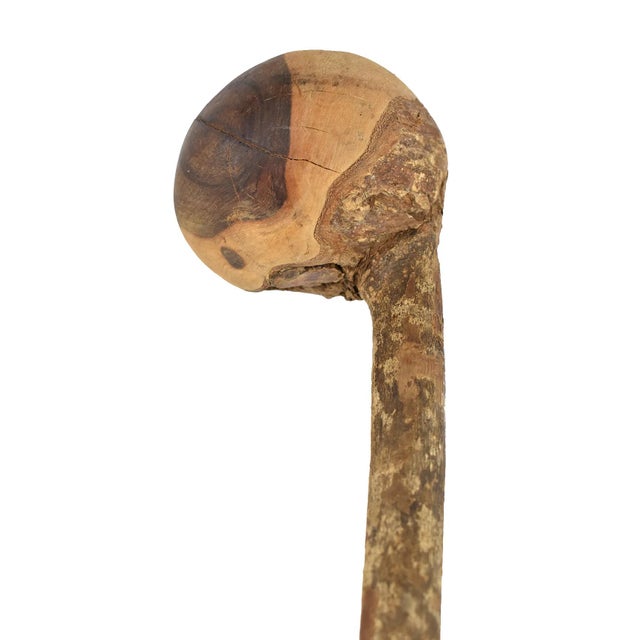 Early 20th Century Zulu Knobkerrie Wood Stick South Africa Dori Collection For Sale - Image 4 of 5