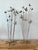 Mid 20th Century Vintage 1960s William Bowie Kinetic Sculpture - Set of 2 For Sale - Image 5 of 8