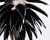 Aloe Blossom Large Anniversary Pendant Light with Black Porcelain Leaves by Jeremy Cole, 2004 For Sale - Image 3 of 15