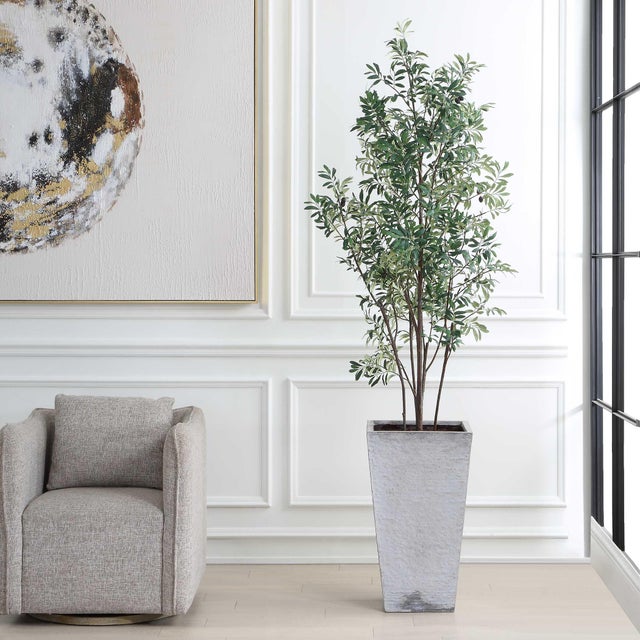 Graceful And Architectural, This Tall Olive Tree Brings A Sense Of Mediterranean Tranquility To Any Interior. Its Slender...