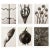 Charcoal 1995 Set of 6 Posters After Karl Blossfeldt's Photogravures, First Edition For Sale - Image 8 of 15
