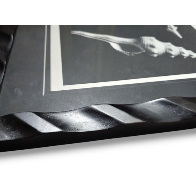 2020s Pair of Framed Sea Shell Photograph Prints in Black Matte and Carved Wooden Frame For Sale - Image 5 of 8