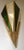 1980s Vintage Brass and Synthetic Glass Wall Lights from Glashütte Limburg, 1980s, Set of 2 For Sale - Image 5 of 9