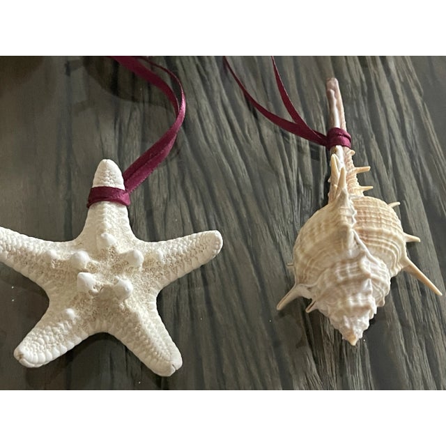 Vote rage all natural colors sea shell collection of Ornaments. Boho coastal home decor.