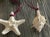 Vote rage all natural colors sea shell collection of Ornaments. Boho coastal home decor.