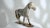 Wood Early 20th Century French Wooden Horse For Sale - Image 7 of 9
