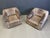 DS47 Armchairs from De Sede, 1970s, Set of 2 For Sale - Image 9 of 13