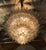 Not Yet Made - Made To Order 21st Century Maestro Palmette Chandelier by Fabio LTD For Sale - Image 5 of 5