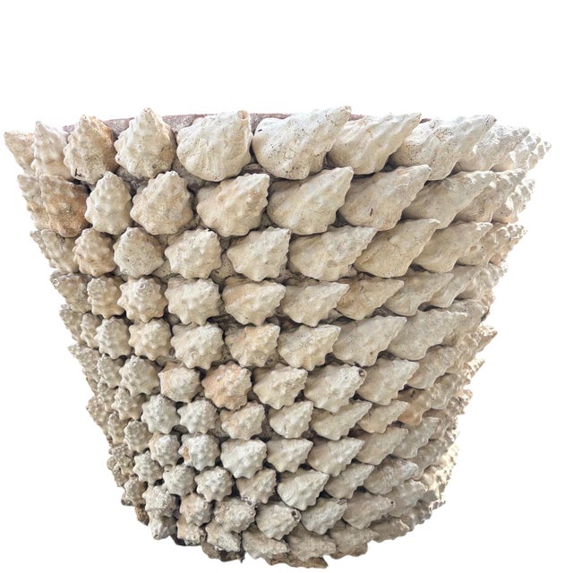 Monumental Italian Coquillage Shell-Encrusted Terracotta Planter, Mid-20th Century For Sale - Image 11 of 14