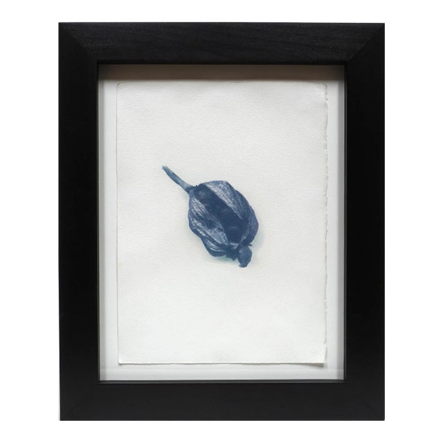 "Botanica IX" - Gum Dichromate Print by S. Howard For Sale