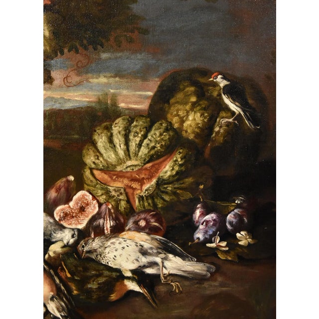 Giovanni Paolo Castelli, Still Life, 1700, Oil on Canvas, Framed For Sale - Image 6 of 16