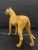 Yellow English Porcelain Figure of a Great Dane Dog, Early 20th Century For Sale - Image 8 of 8