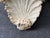 1990s Vintage Coastal Seashell Encrusted Wall Bracket a Pair For Sale - Image 5 of 17