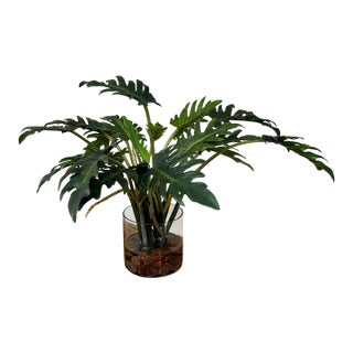 Artificial Philodendron Xanadu Plant + Clear Glass Vase For Sale