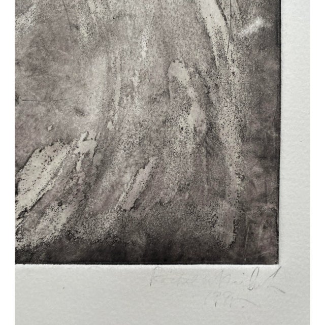 1990s multi stage print (lithograph & etching) from a group of works by Rachel Nichols. Pencil titled "Experiment with...