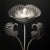 A striking black-and-white botanical print featuring Cotula Turbinata, meticulously restored and remastered from an...